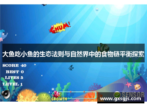 大鱼吃小鱼的生态法则与自然界中的食物链平衡探索 大鱼吃小鱼的生态法则与自然界中的食物链平衡探索